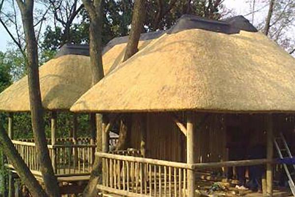 Thatch Roof Services